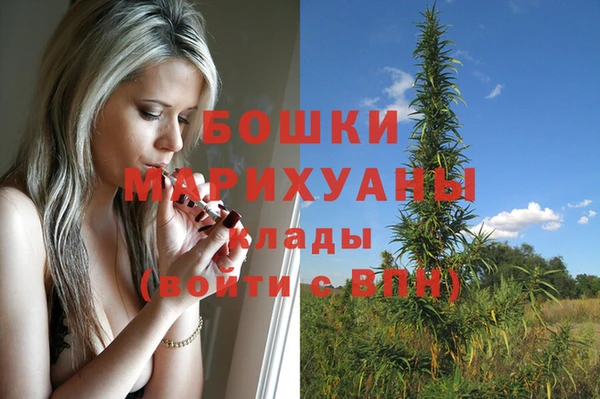 apvp Балахна