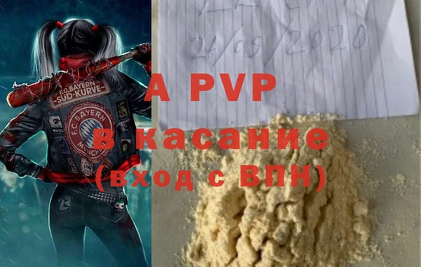 мяу мяу мука Баксан