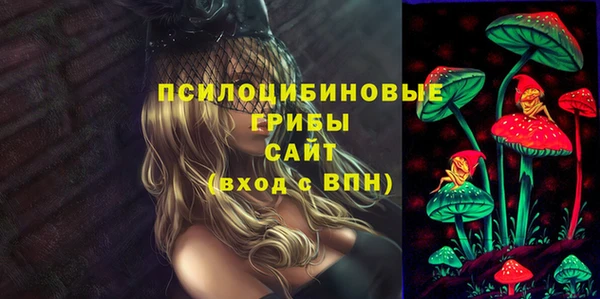 apvp Балахна