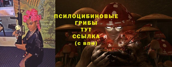 apvp Балахна