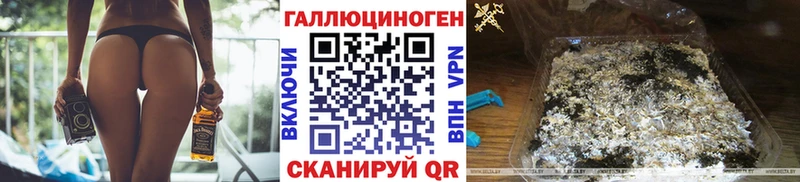 дарнет шоп  Новый Оскол  Псилоцибиновые грибы Psilocybine cubensis 